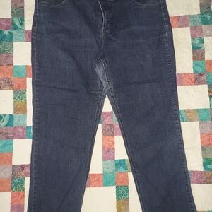 Terra & Sky women's blue jeans 20W